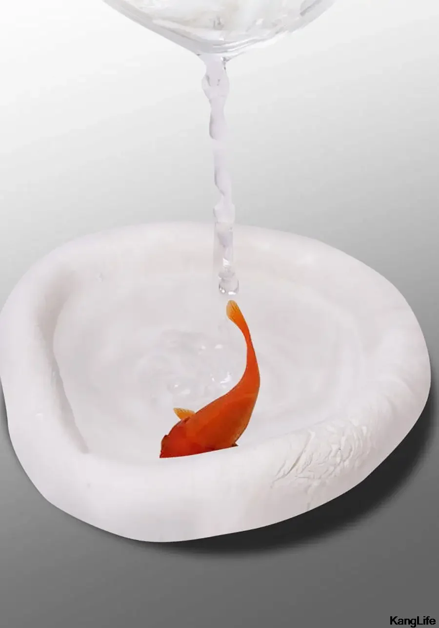 خمیر آب بندی و پر کننده منافذ (پکیج 2 عددی)